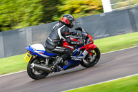 anglesey;brands-hatch;cadwell-park;croft;donington-park;enduro-digital-images;event-digital-images;eventdigitalimages;mallory;no-limits;oulton-park;peter-wileman-photography;racing-digital-images;silverstone;snetterton;trackday-digital-images;trackday-photos;vmcc-banbury-run;welsh-2-day-enduro